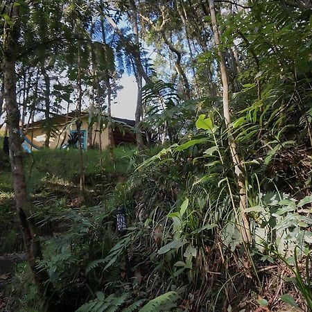 Encanto Minicasitas En Medio De La Naturaleza 圣埃伦娜 外观 照片