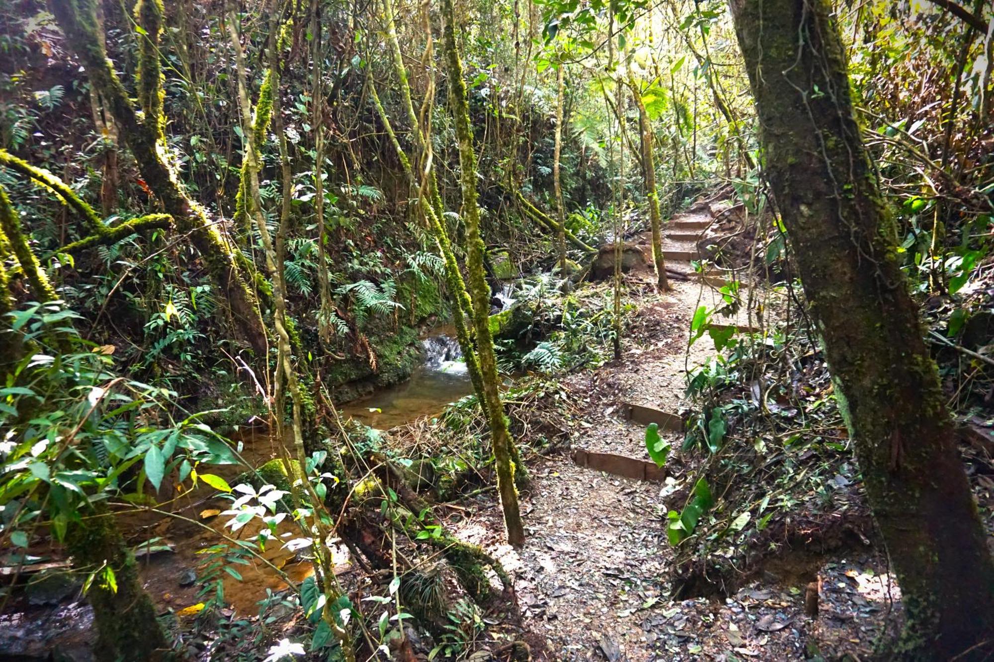 Encanto Minicasitas En Medio De La Naturaleza 圣埃伦娜 外观 照片