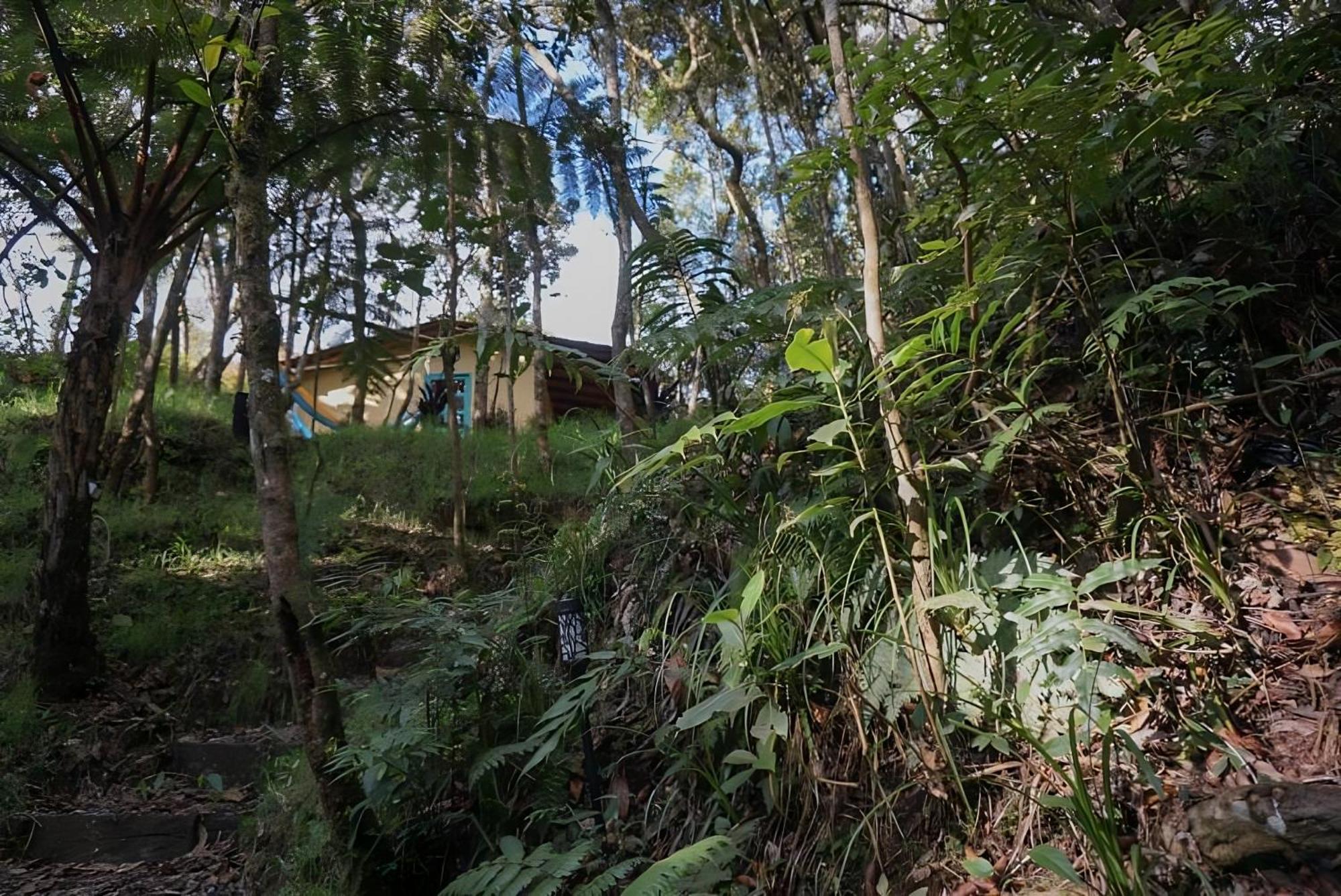 Encanto Minicasitas En Medio De La Naturaleza 圣埃伦娜 外观 照片