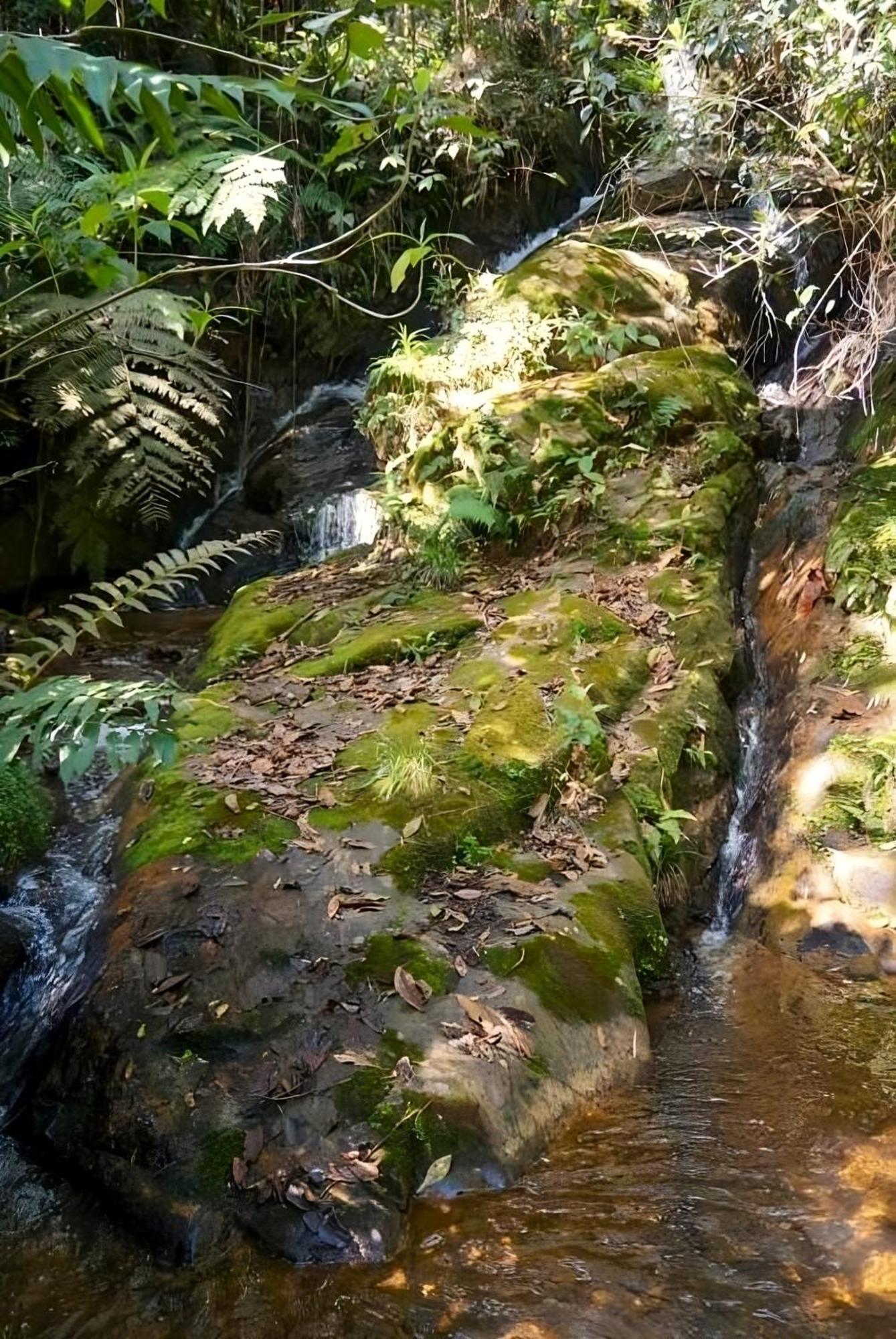 Encanto Minicasitas En Medio De La Naturaleza 圣埃伦娜 外观 照片