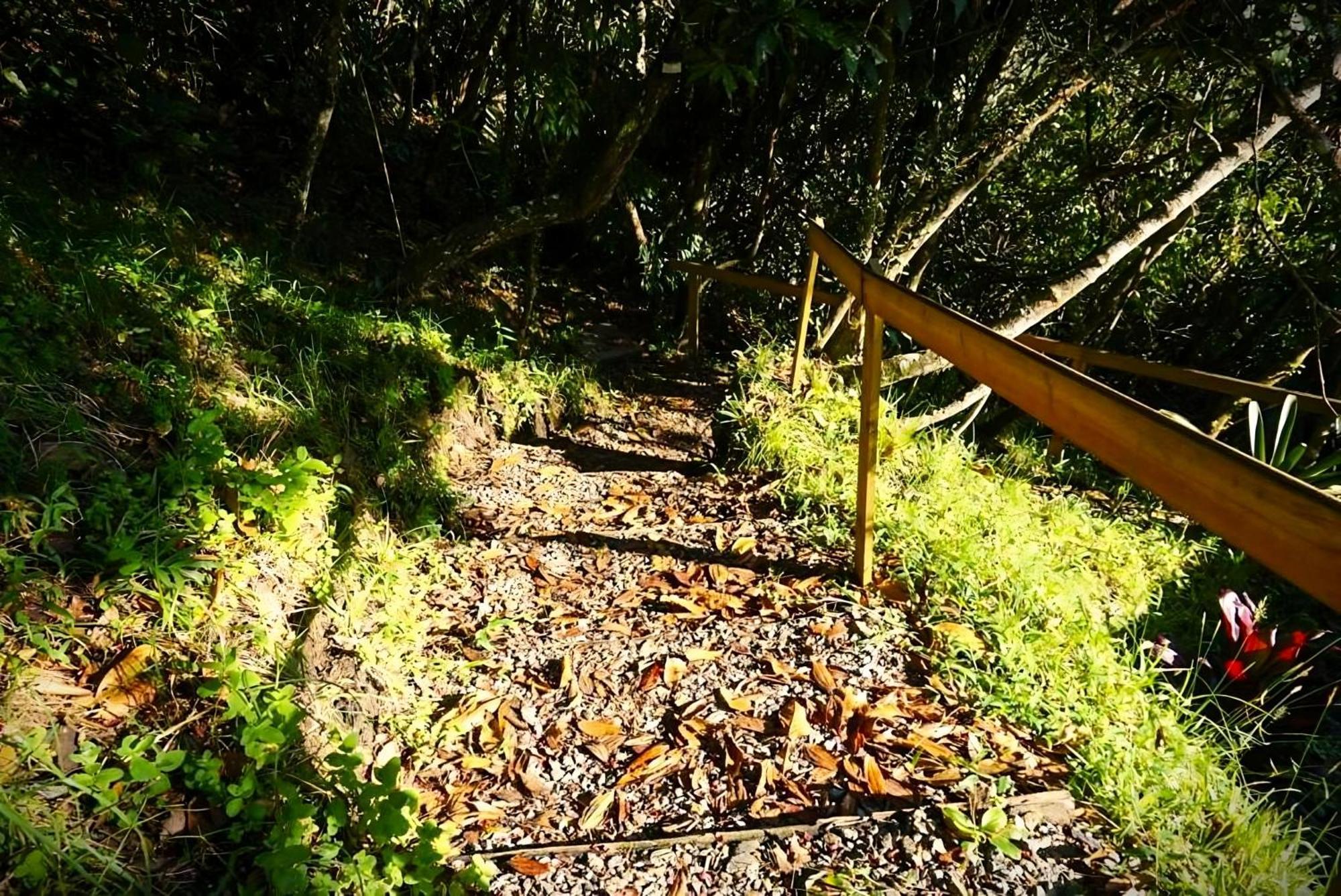 Encanto Minicasitas En Medio De La Naturaleza 圣埃伦娜 外观 照片