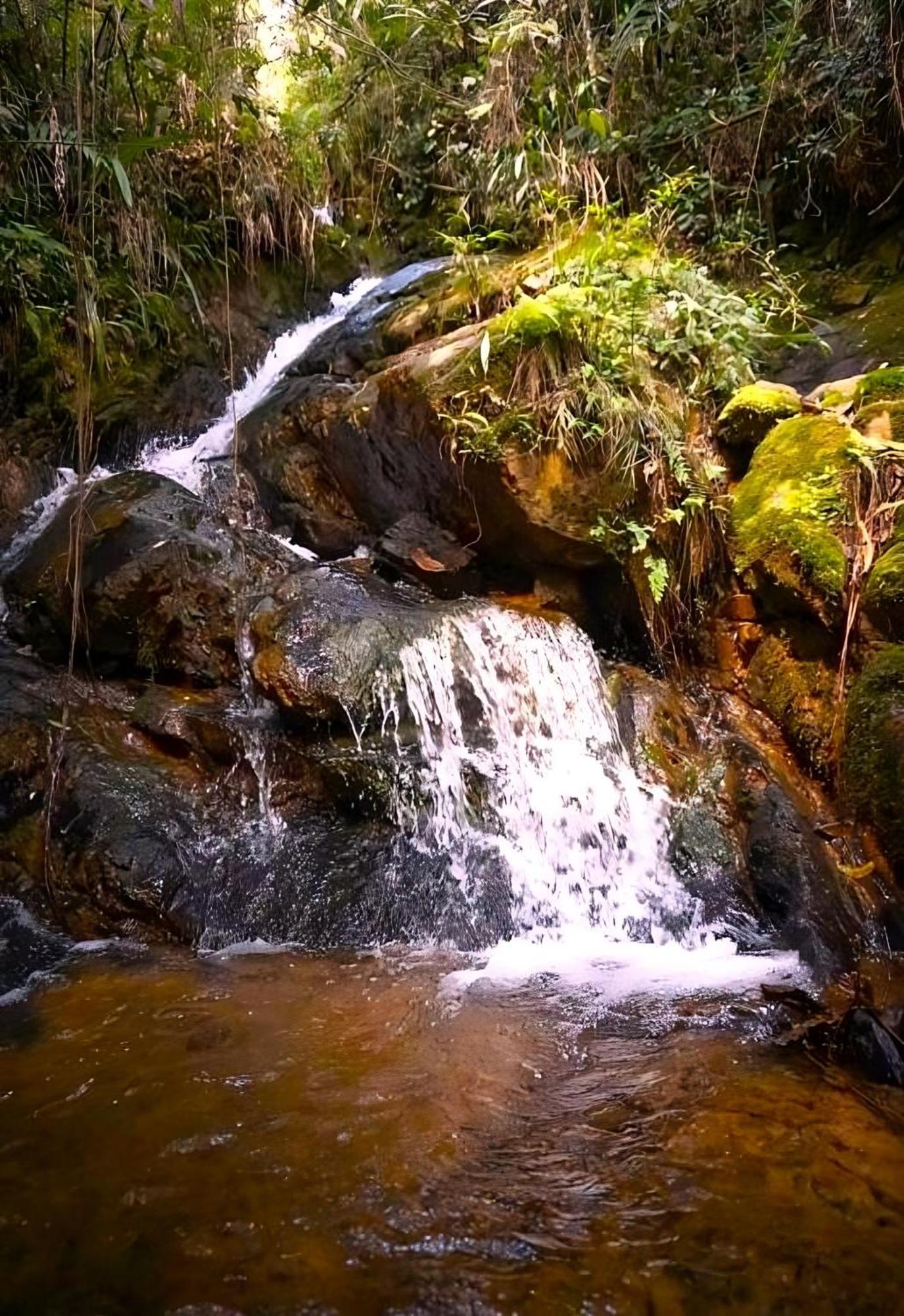 Encanto Minicasitas En Medio De La Naturaleza 圣埃伦娜 外观 照片