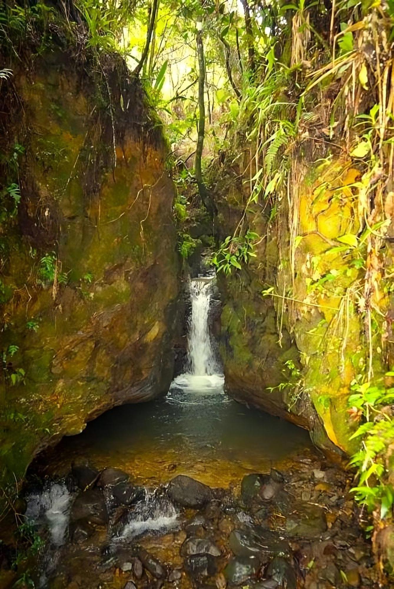 Encanto Minicasitas En Medio De La Naturaleza 圣埃伦娜 外观 照片